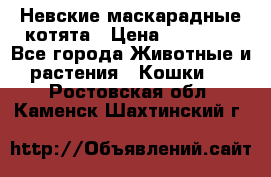 Невские маскарадные котята › Цена ­ 20 000 - Все города Животные и растения » Кошки   . Ростовская обл.,Каменск-Шахтинский г.